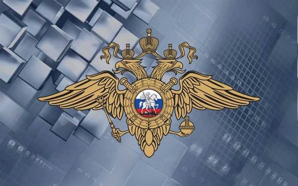  Как МВД России использует Telegram в оперативной работе 